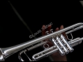 Trumpet 2.jpg